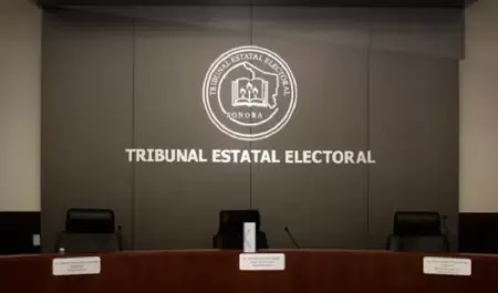 Tribunal Electoral del Poder Judicial de la Federaci�n