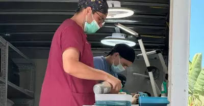 Esterilizaci�n de mascotas en Maneadero