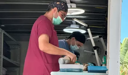 Esterilizaci�n de mascotas en Maneadero