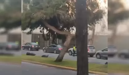 Continan cobros ilegales en la fila de cruce en San Ysidro a pesar de anuncios 