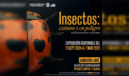 "Insectos: extintos y en peligro"