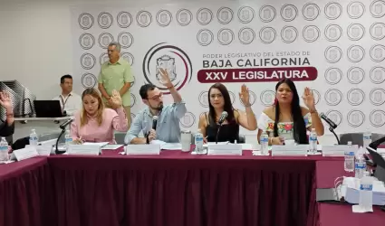 Comisi�n de Fiscalizaci�n