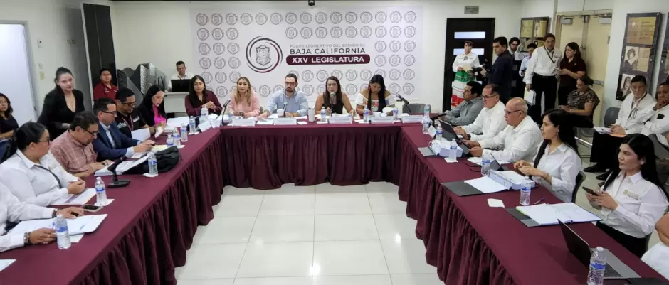 Comisi�n de Fiscalizaci�n