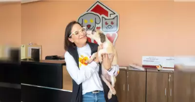 Sapito encuentra un nuevo hogar, luego de rehabilitarse en Santuario Animal MILY