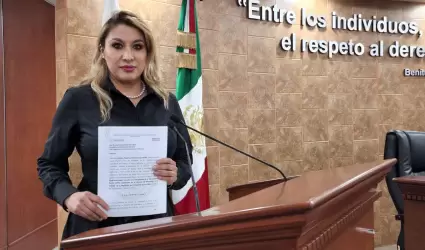 Diputada Ang�lica Pe�aloza