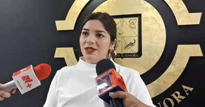 Amairani Pe�a Escalante. diputada de Encuentro Solidario