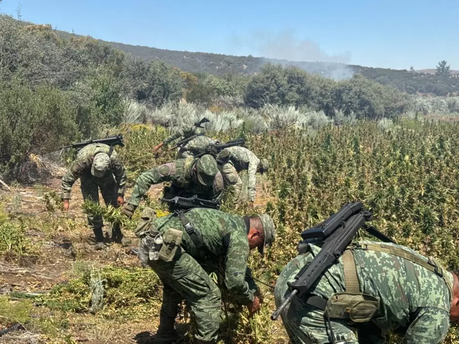 Resultados del Ejrcito Mexicano en Baja California durante agosto de 2024