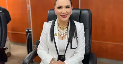 Diputada Araceli Geraldo Nez