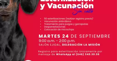 Jornada de esterilizacin en La Misin