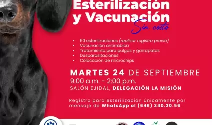 Jornada de esterilizaci�n en La Misi�n