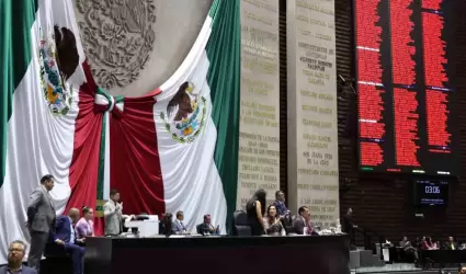 Sesi�n en la C�mara de Diputados, donde se discuti� la reforma en materia de la 