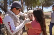 Vacunacin gratuita para mascotas en jornada contra la rabia