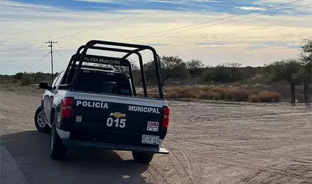 Localizan tres cadveres en campo agrcola de la Costa