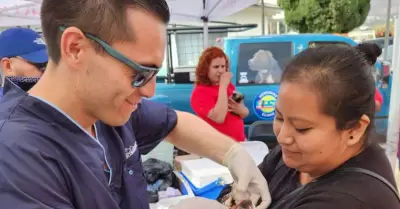 Esterilizacin de ms de mil mascotas