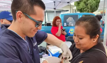 Esterilizaci�n de m�s de mil mascotas