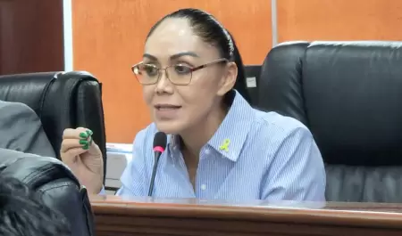 Diputada Adriana Padilla