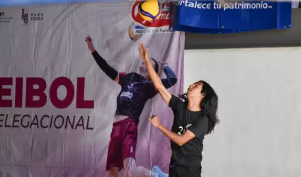 Torneo delegacional de voleibol