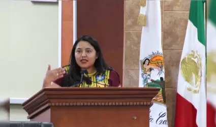 Diputada Evelyn S�nchez