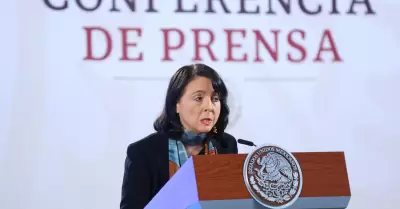 Directora del Consejo Nacional de Humanidades, Ciencias y Tecnologas (Conahcyt)