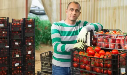 Hombre latino trabajando