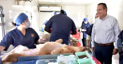 Antonio Astiazar�n visit� las instalaciones del Instituto Municipal de Protecci�