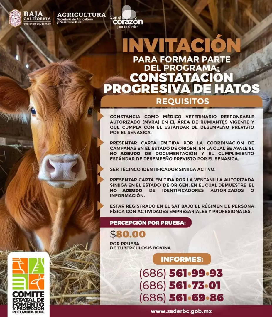 Programa de Constataci�n Progresiva de Hatos