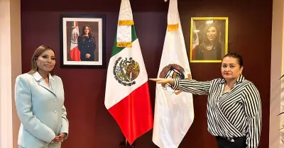 Titular de Recaudaci�n