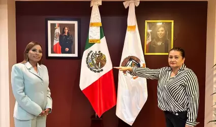 Titular de Recaudaci�n