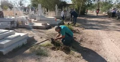 Jornada de reforestaci�n en el Pante�n Y��ez
