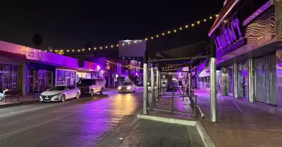 Rosa camellones y palmeras en la Plaza C�vica de la Patria