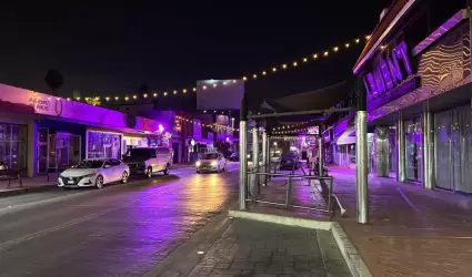 Rosa camellones y palmeras en la Plaza C�vica de la Patria