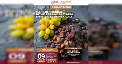 Invita SADERBC a capacitaci�n sobre el manejo integral de uva para mesa y uva pa