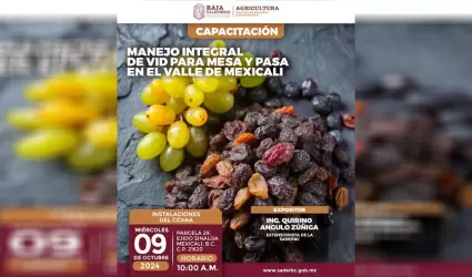 Invita SADERBC a capacitaci�n sobre el manejo integral de uva para mesa y uva pa