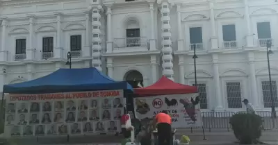 Plant�n de galleros frente a Palacio de Gobierno