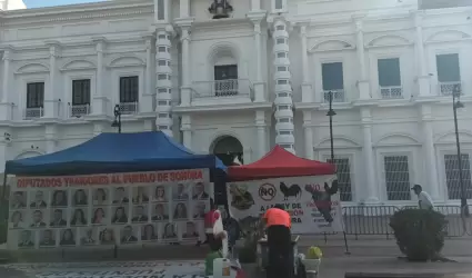 Plant�n de galleros frente a Palacio de Gobierno