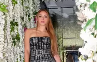 �Qu� incluye el paquete VIP de Shakira?