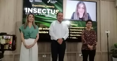 La exposici�n Insectus se llevar� a cabo del 13 de octubre al 10 de diciembre en