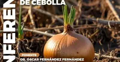 Conferencia sobre el manejo de la riz�sfera en el cultivo de la cebolla de San Q