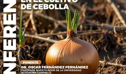 Conferencia sobre el manejo de la riz�sfera en el cultivo de la cebolla de San Q