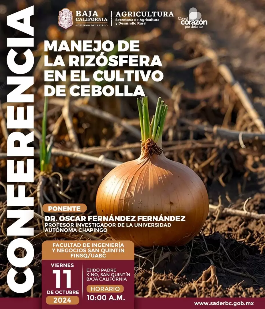 Conferencia sobre el manejo de la riz�sfera en el cultivo de la cebolla de San Quint�n