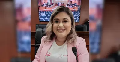 Diputada Michelle Tejeda