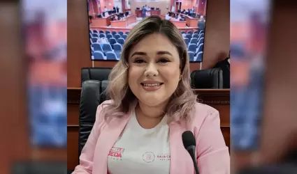 Diputada Michelle Tejeda