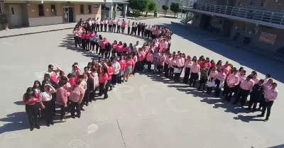 Detecci�n oportuna del c�ncer de mama
