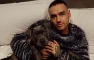 Liam Payne: �De qu� muri� el cantante?