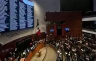 Senadores morenistas apoyar�n la reelecci�n de Rosario Piedra en CNDH