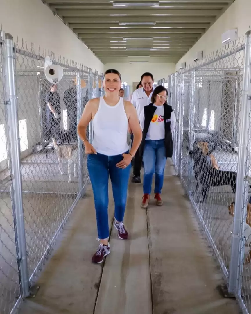 Fortalece Gobierno de Marina del Pilar bienestar animal a trav�s de Santuario Mily