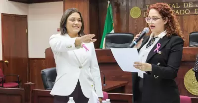 Asume M�nica Vargas la Presidencia del Observatorio de Participaci�n Pol�tica de