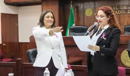 Asume M�nica Vargas la Presidencia del Observatorio de Participaci�n Pol�tica de