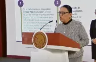 Contin�a FGR las investigaciones contra Garc�a Luna en M�xico, asegura Segob