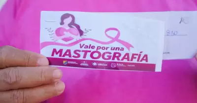 Detecci�n oportuna del c�ncer de mama